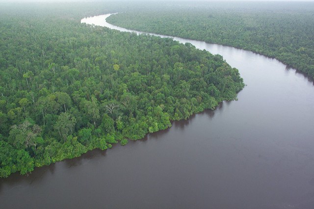 Indonesian forest land with a river. Imagef rom https://www.flickr.com/photos/dfataustralianaid/10712654875/in/photolist-hjDa58-8bJat4-ar7Rh5-ar55sx-jyCMaM-ar7LCj-aEP7HK-J1rma4-8XVh7-fDBA2e-jyGezq-HEvD1p-8DRfA5-8GRqGN-q5H5Bv-arosdd-dXJiW3-ar4VNv-ar7rum-ar52rP-aroEbu-arkPav-ar7VMJ-ar7NRL-ar4yc6-arnqpy-aqNQwe-ar4WGT-aqNQSc-aqRN27-arm2x4-aroEGA-arooJY-arm13Z-ar7CVW-ar7WTJ-azdCbU-ar5tmv-arpWhs-aqRfbY-aqRfco-ar84Vy-ar4rU6-ar5zBp-ar75bS-aqRvvU-ar4FJi-arkQ5H-aqNR1r-dXCCCx Flickr Creative Commons